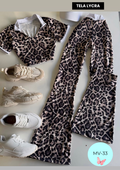 Conjunto MV-33